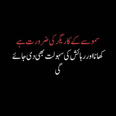 سموسے کے کاریگر کی ضرورت ہے