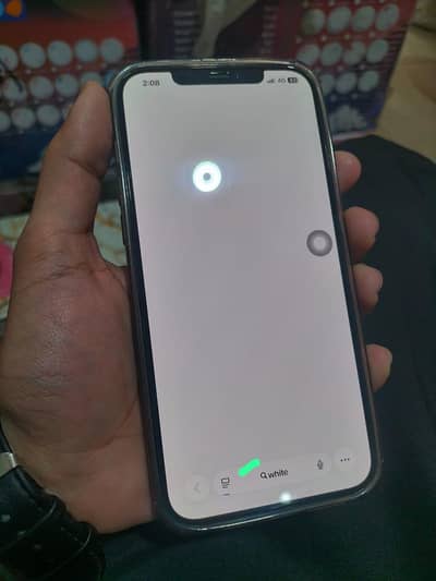 iPhone 12 pro max dual pta