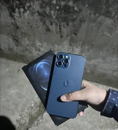 iphone 12 pro max 256