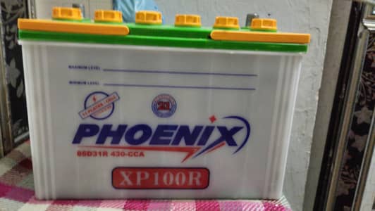 Phoenix Battery XP100