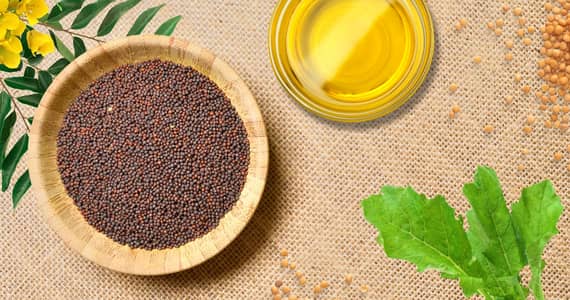 100% pure mustard oil per Kg 750