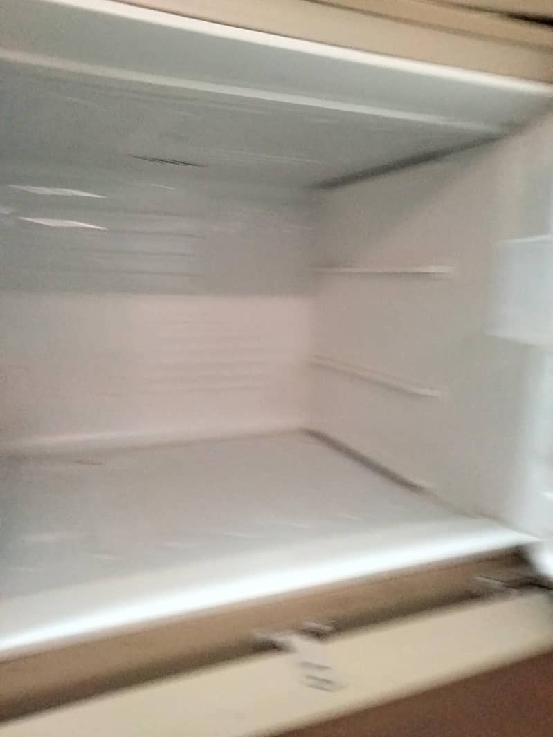 fridge 2