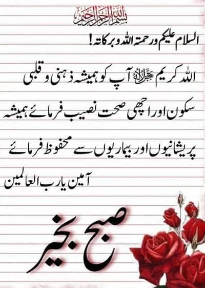 FEMALE COMPUTER OPERATOR EXPERIENCED REQUIRED URGENT