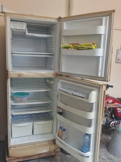 Urgent sale PEL Full size friege in good condition No fault