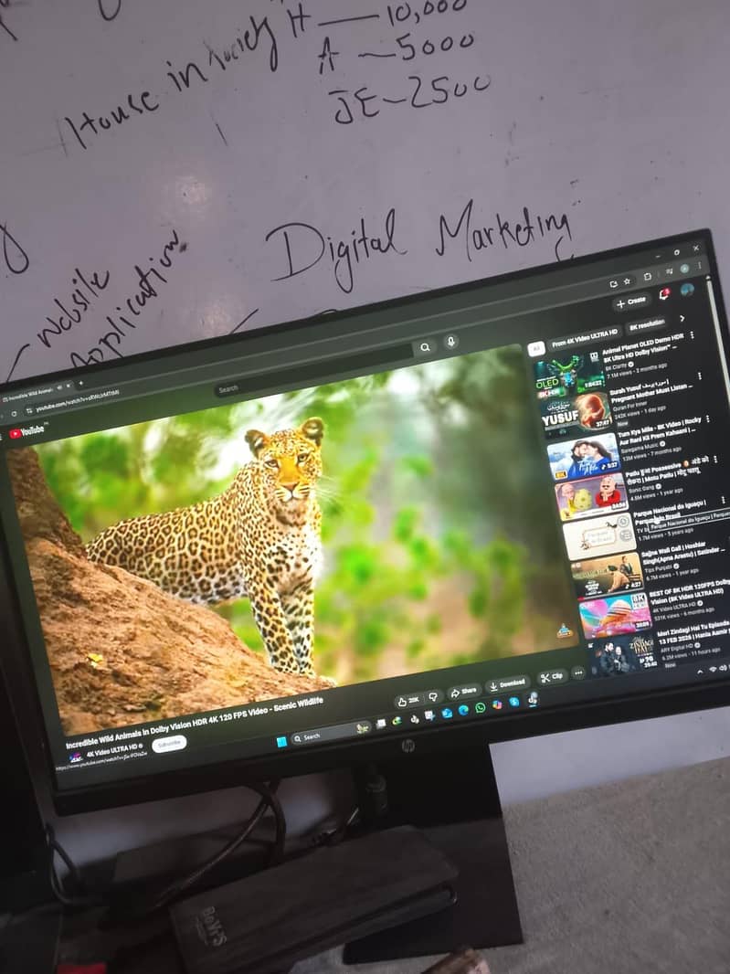 HP Computer Led Borderless 1