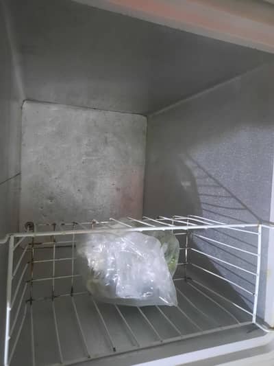 bikle okay hai jis Bhai na Lana hai whtpps pa rahbty Kary 03195582875