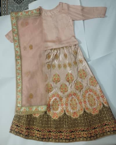 Lehenga 3 piece dress