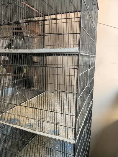 4 portions birds cage available
