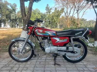 Bike Achi Condition Me Hai Contact Only Serious Buyers