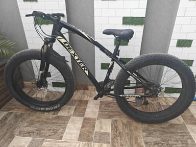 Dexter Sports Bicycle, Big Tyres