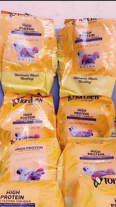 FORCHEW PARROT HANDFEED