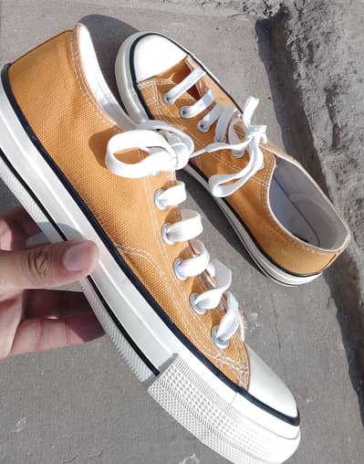 Canvas Sneakers  – like new Condition