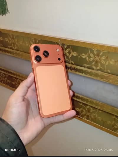 Xr converted 17 pro 10 by 10 condition 64 gob