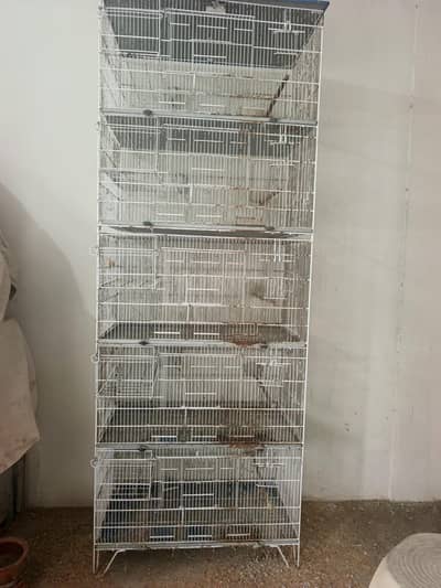 4 White Cages INSIDE BOX WALE. Rs: 10,000 Each
