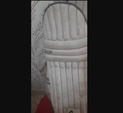 cricket hard ballpad