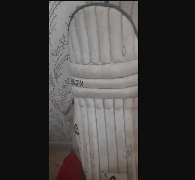 cricket pad 0