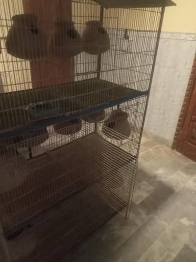 iron cage bird cage condition 9 by 10