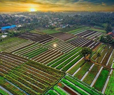 38 kanal zameen turbine available ha