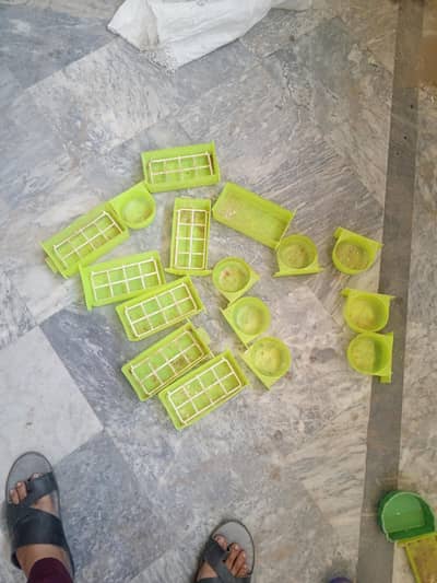 birds pods(berten) for sale total 16 ha or 10 boxes lovebirds