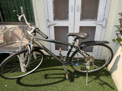 Giant Bicycle for sale