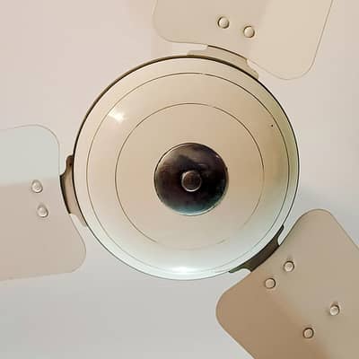 Royal Ceiling/100% Copper/King Size Fan