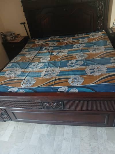 kind size foam spring for sell