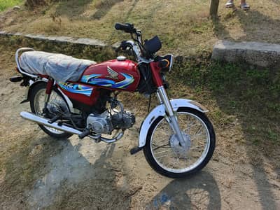 Honda CD 2024 model