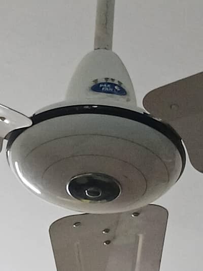 PAK FAN 56 INCH DELUXE