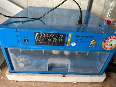AUTOMATIC 36 EGGS INCUBATOR - Fully Automatic