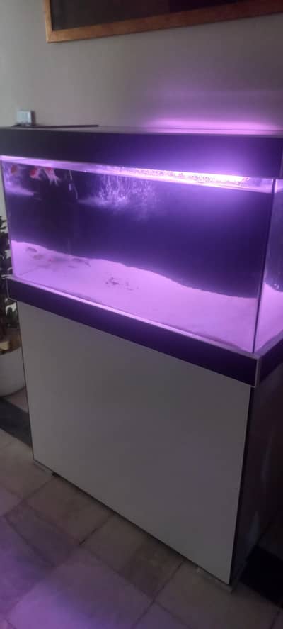 New fish aquarium 3 x 2 x 1.5 ft with fishes and sand