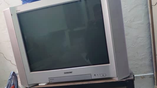 sonny tv flat with trolly