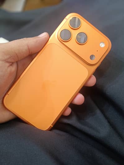 17 pro official marcantile pta approved