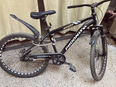 Phoenix Bicycle new