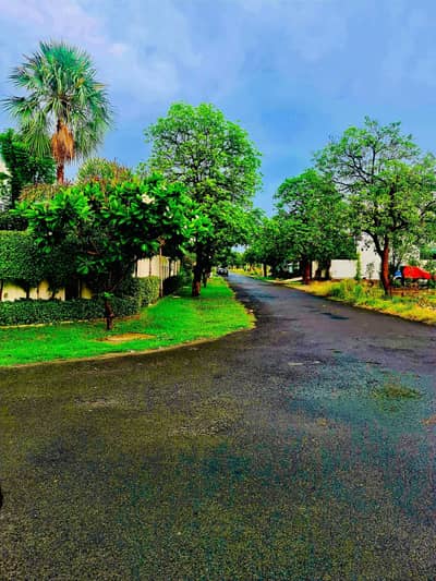 01 Kanal Good Location Residential Plot for Sale in E Block