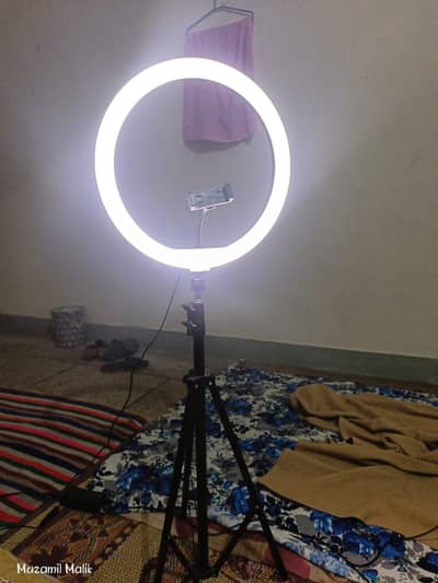 10 inch 4 color Ring light with stand slightly Used just like a New