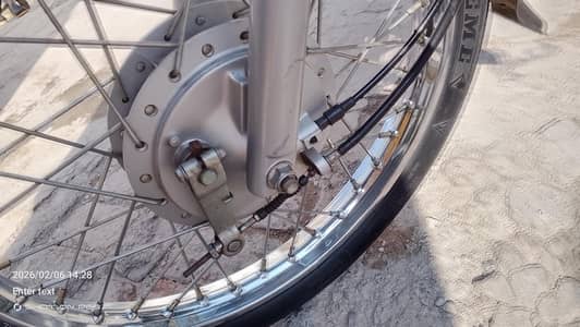 2024 modle all janian