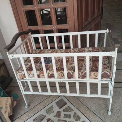 baby cat with mattress