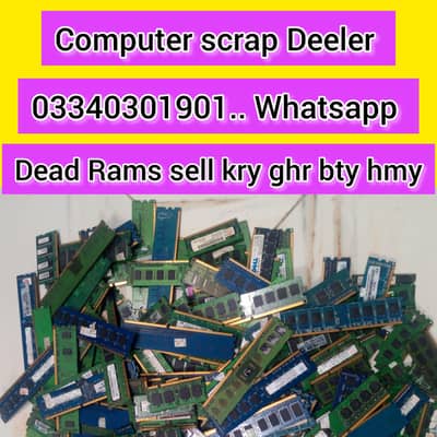 Rams. . Dead. . Buyer03340301901 Whatsapp