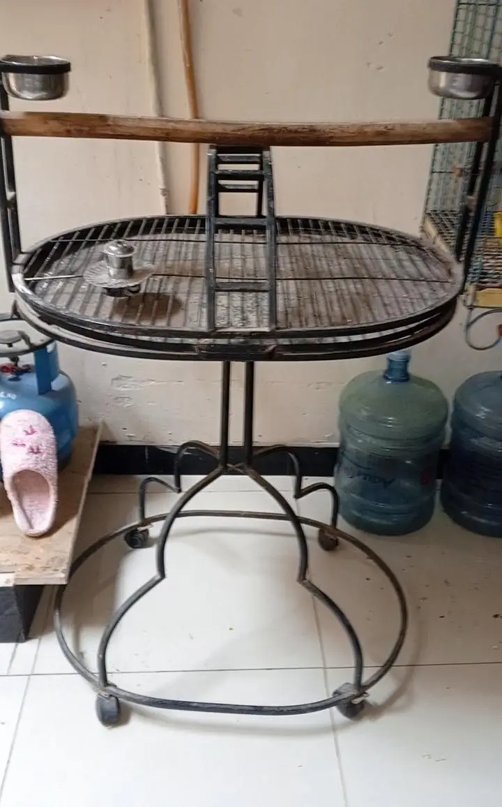 parrot iron stand