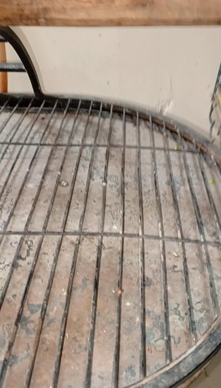 parrot iron stand — photo 2