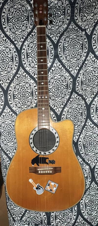 Semi Acoustic 41 inches Guitar Johnsons