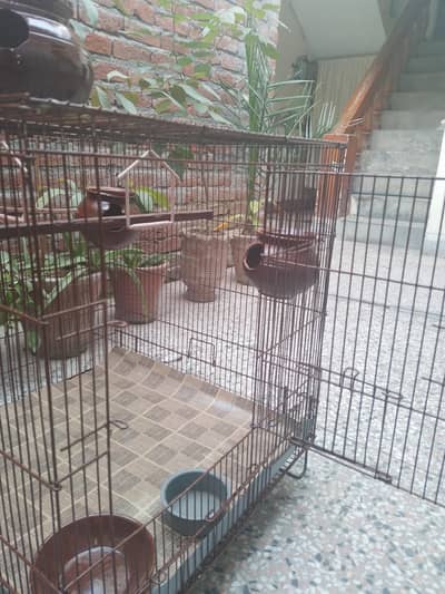 bird cage for sale