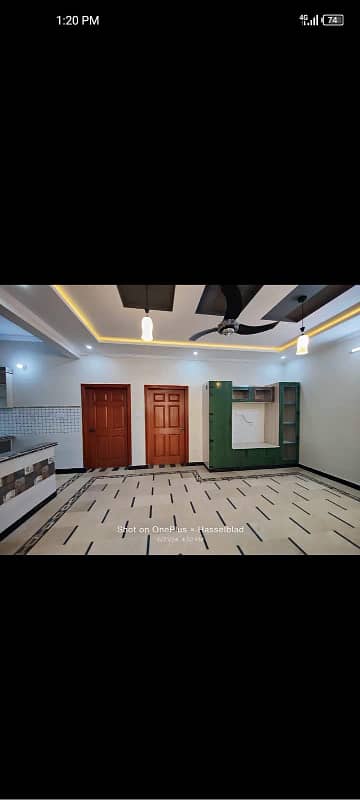 6 marla neat and clean single story house for rent in ghauri town