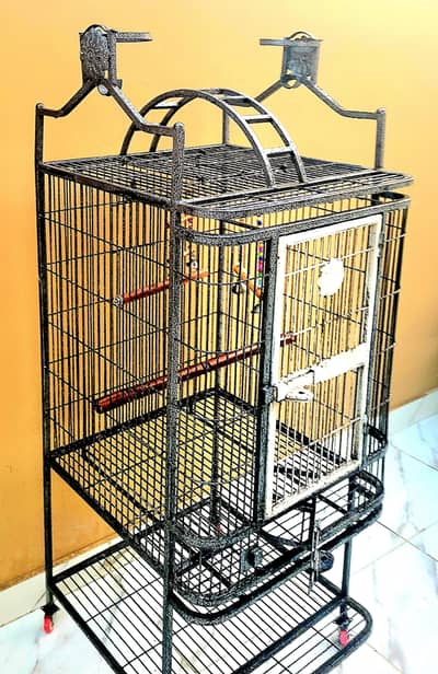 parrot cage