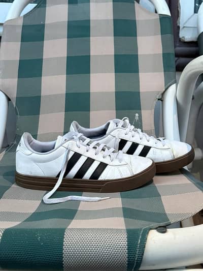 Adidas daily 2.0 cloud white