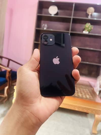 iPhone 12 256gb pta approved urgent for sale