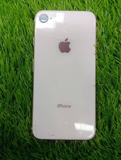 8 64 Gb JV 76% Golden