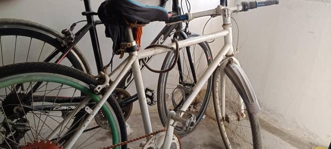 Bicycle For Sale