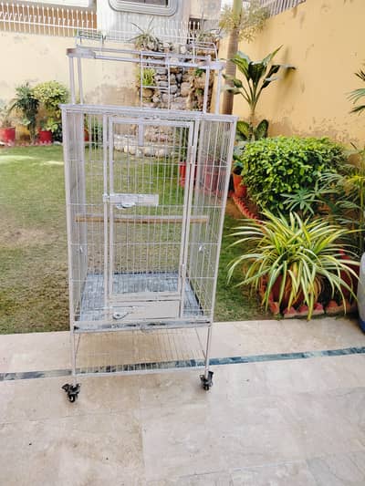grey parrot/raw/ cage for sell