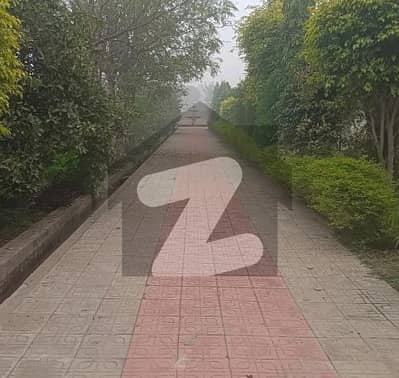 20.9 Kanal Corner Plot for Sale on Main Talab Saray Road Near Manga-Raiwind Road, Lahore | Rs. 12.25 Crore